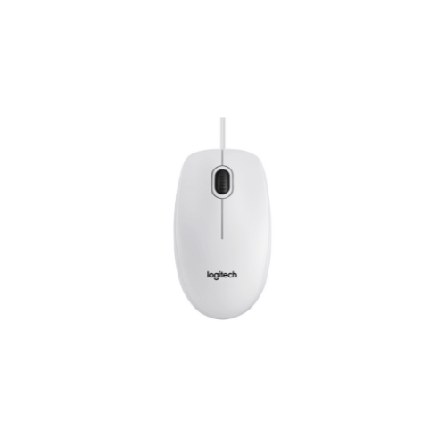 Logitech B100