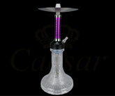Caesar 12 - C - Purple / Transparent